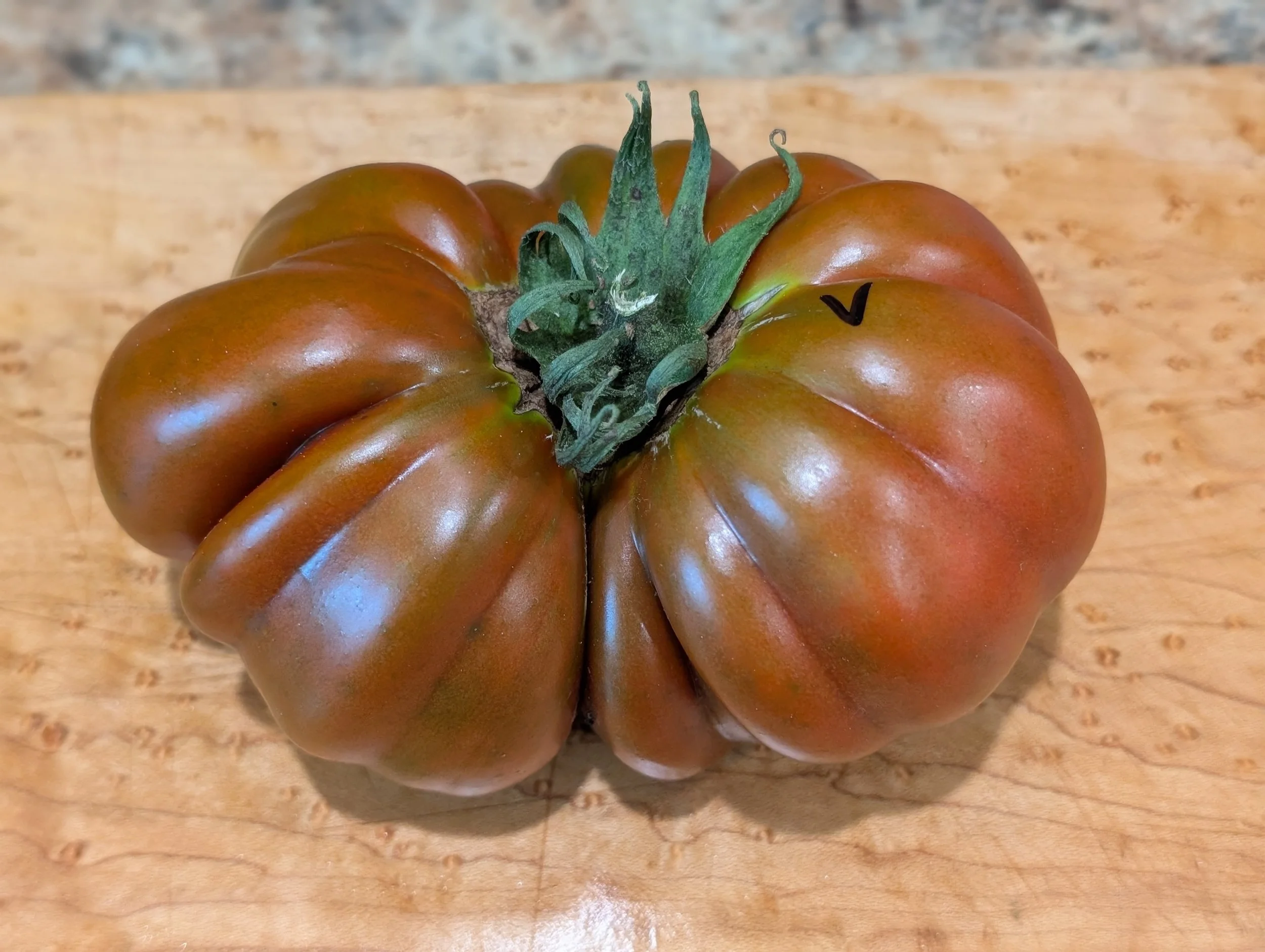 Craig LeHoullier - 2025 Garden Review - Part 3. Last tomatoes